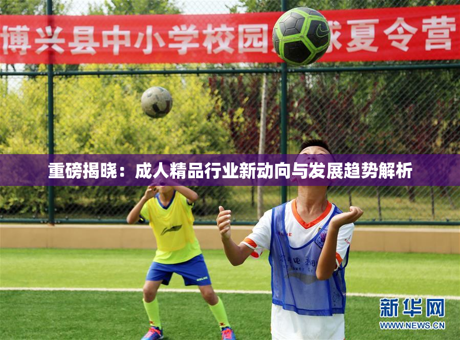 重磅揭晓：成人精品行业新动向与发展趋势解析