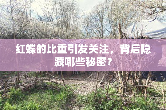 红蝶的比重引发关注，背后隐藏哪些秘密？
