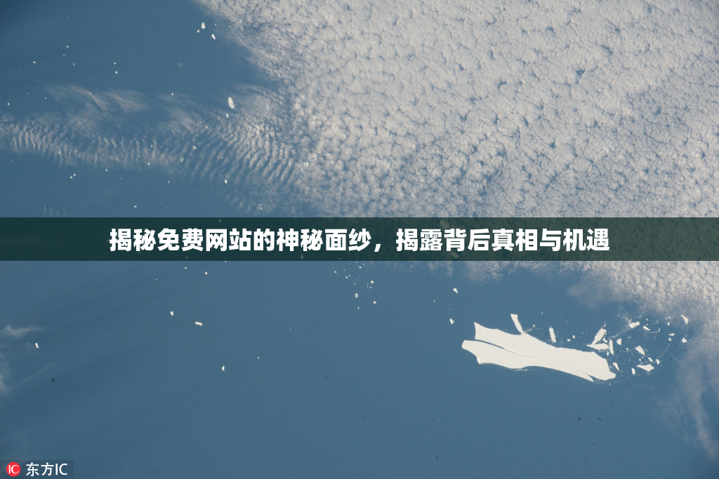 揭秘免费网站的神秘面纱，揭露背后真相与机遇
