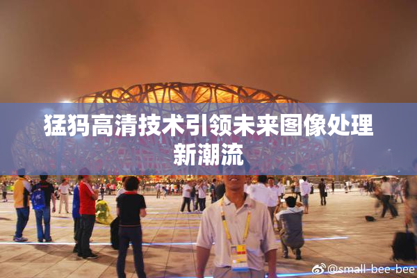 猛犸高清技术引领未来图像处理新潮流
