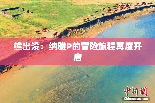 熊出没：纳雅P的冒险旅程再度开启