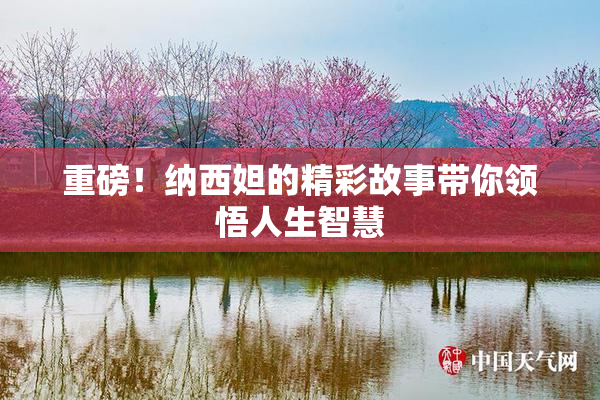 重磅！纳西妲的精彩故事带你领悟人生智慧