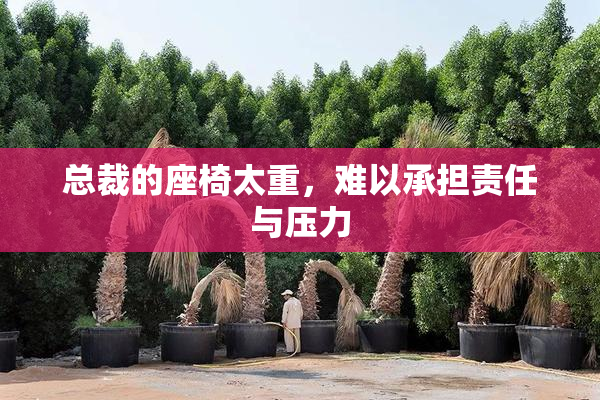 总裁的座椅太重，难以承担责任与压力