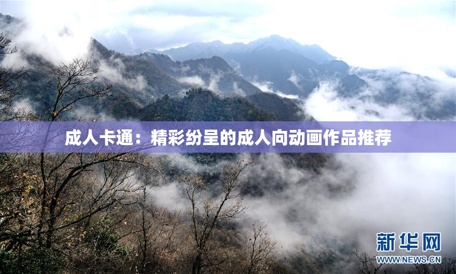 成人卡通：精彩纷呈的成人向动画作品推荐