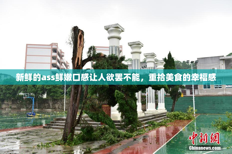 新鲜的ass鲜嫩口感让人欲罢不能，重拾美食的幸福感