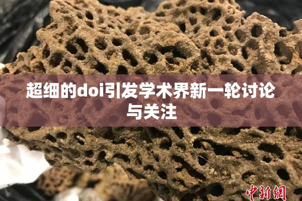超细的doi引发学术界新一轮讨论与关注