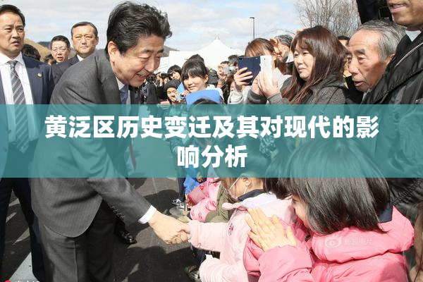 黄泛区历史变迁及其对现代的影响分析