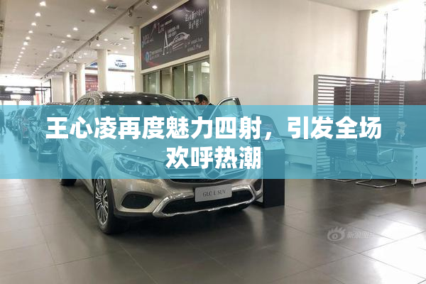 王心凌再度魅力四射，引发全场欢呼热潮