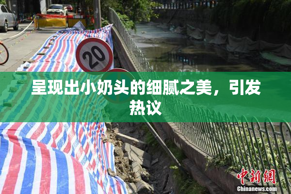 呈现出小奶头的细腻之美，引发热议