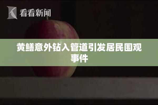 黄鳝意外钻入管道引发居民围观事件