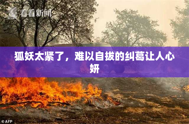狐妖太紧了，难以自拔的纠葛让人心妍