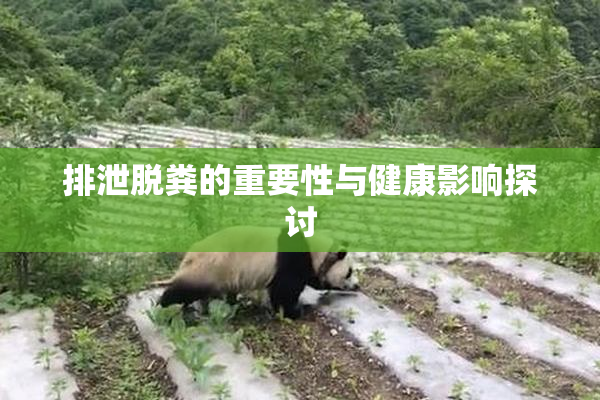 排泄脱粪的重要性与健康影响探讨