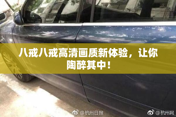 八戒八戒高清画质新体验，让你陶醉其中！