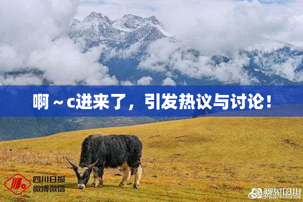 啊～c进来了，引发热议与讨论！