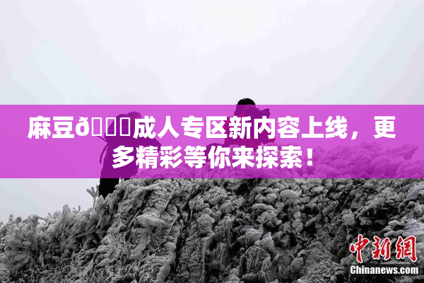 麻豆🔞成人专区新内容上线，更多精彩等你来探索！