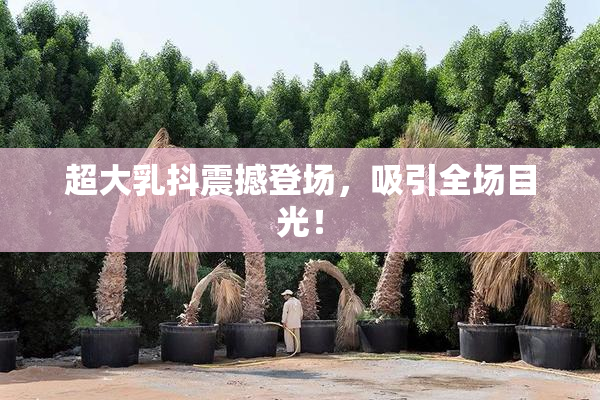 超大乳抖震撼登场，吸引全场目光！