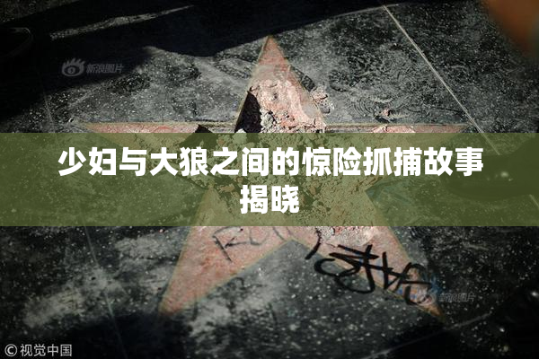 少妇与大狼之间的惊险抓捕故事揭晓