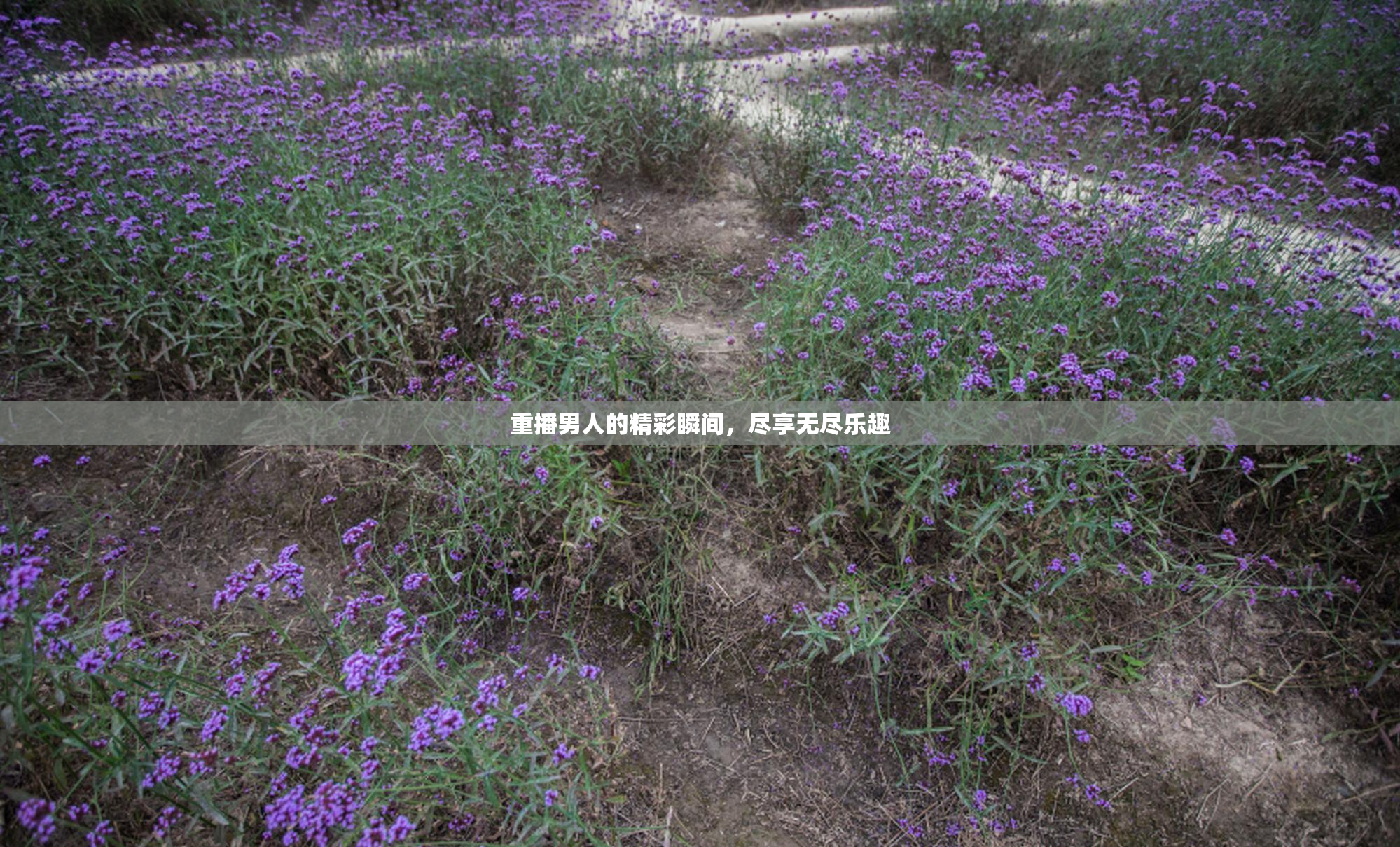 重播男人的精彩瞬间，尽享无尽乐趣