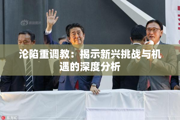 沦陷重调教：揭示新兴挑战与机遇的深度分析