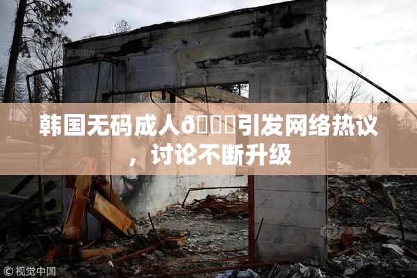 韩国无码成人🔞引发网络热议，讨论不断升级