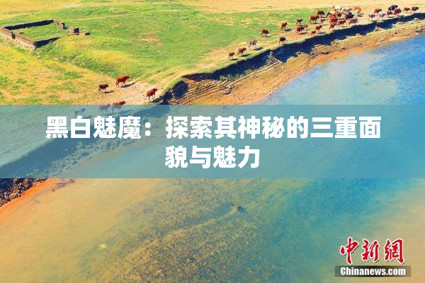黑白魅魔：探索其神秘的三重面貌与魅力