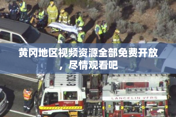 黄冈地区视频资源全部免费开放，尽情观看吧