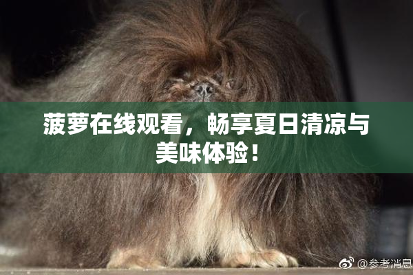 菠萝在线观看，畅享夏日清凉与美味体验！