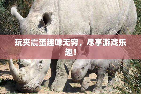 玩夹震蛋趣味无穷，尽享游戏乐趣！