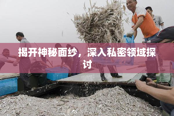 揭开神秘面纱，深入私密领域探讨