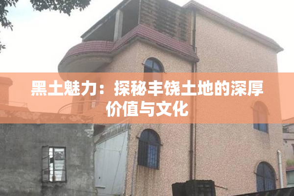 黑土魅力：探秘丰饶土地的深厚价值与文化
