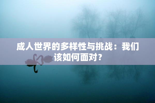 成人世界的多样性与挑战：我们该如何面对？