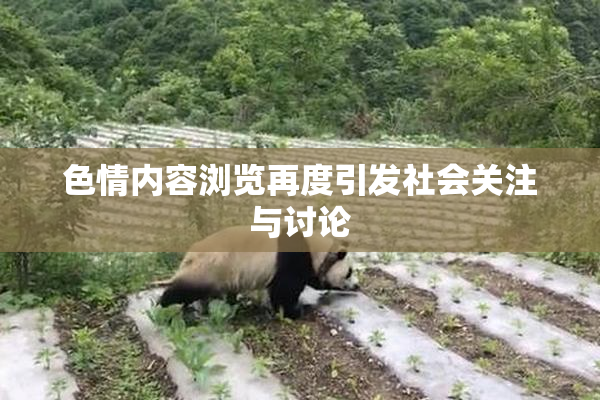 色情内容浏览再度引发社会关注与讨论