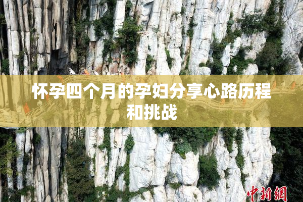 怀孕四个月的孕妇分享心路历程和挑战