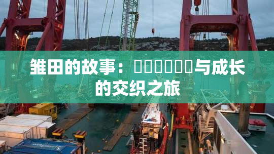 雏田的故事：❌‌❌‌❌‌与成长的交织之旅
