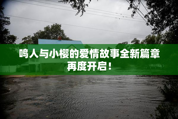 鸣人与小樱的爱情故事全新篇章再度开启！
