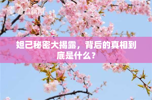 妲己秘密大揭露，背后的真相到底是什么？