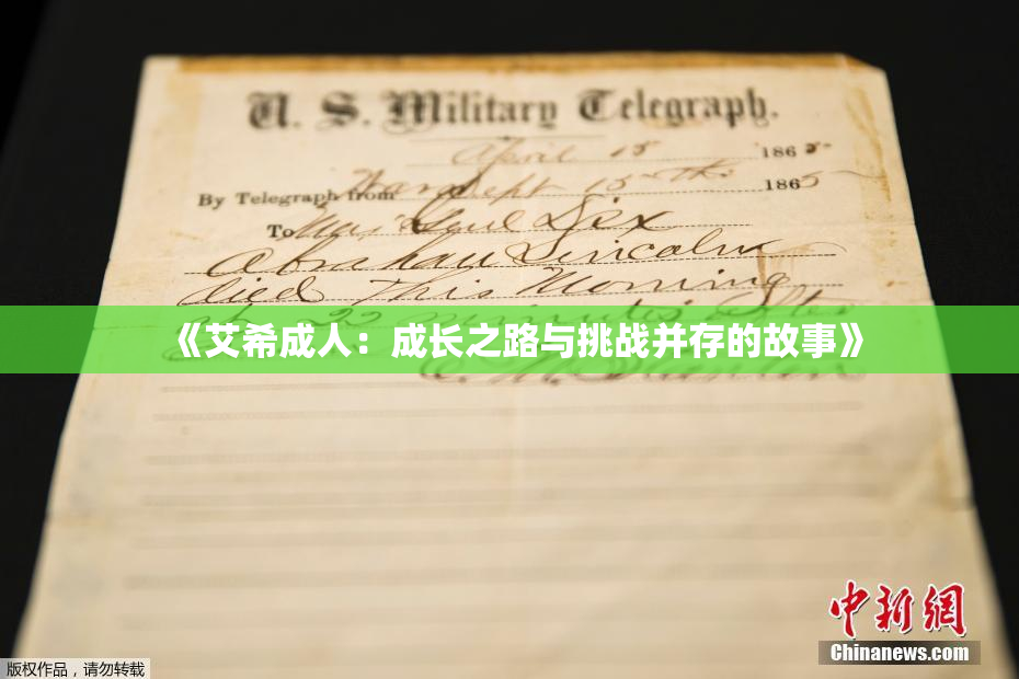 《艾希成人：成长之路与挑战并存的故事》