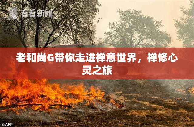 老和尚G带你走进禅意世界，禅修心灵之旅