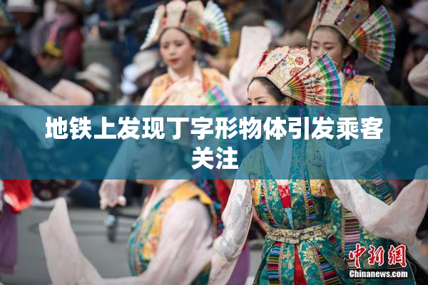 地铁上发现丁字形物体引发乘客关注