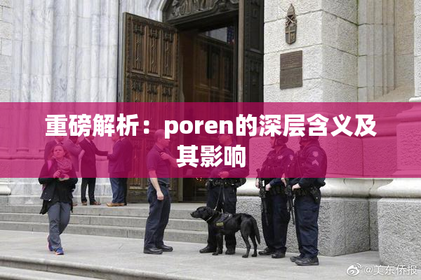重磅解析：poren的深层含义及其影响