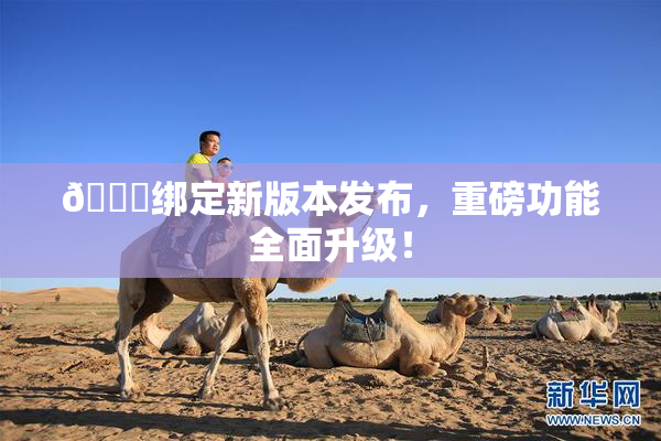 🔞绑定新版本发布，重磅功能全面升级！