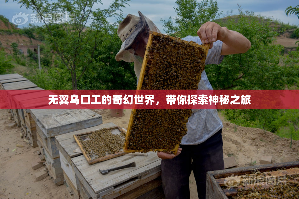 无翼乌口工的奇幻世界，带你探索神秘之旅