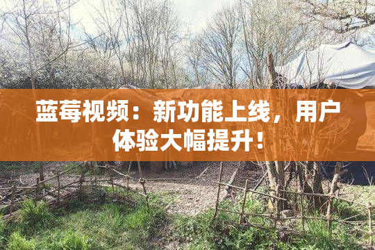 蓝莓视频：新功能上线，用户体验大幅提升！