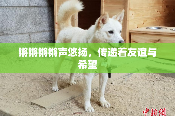 锵锵锵锵声悠扬，传递着友谊与希望