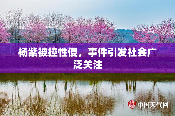 杨紫被控性侵，事件引发社会广泛关注