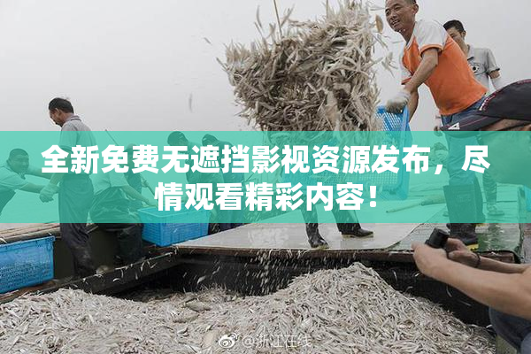 全新免费无遮挡影视资源发布，尽情观看精彩内容！