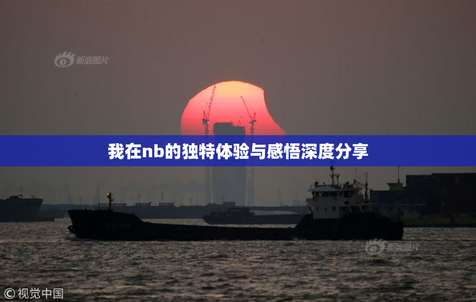 我在nb的独特体验与感悟深度分享