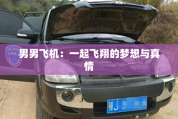男男飞机：一起飞翔的梦想与真情
