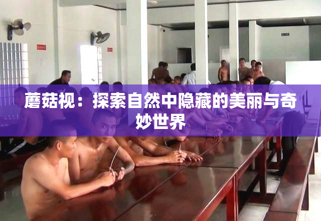 蘑菇视：探索自然中隐藏的美丽与奇妙世界