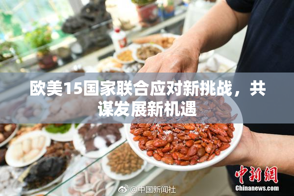 欧美15国家联合应对新挑战，共谋发展新机遇